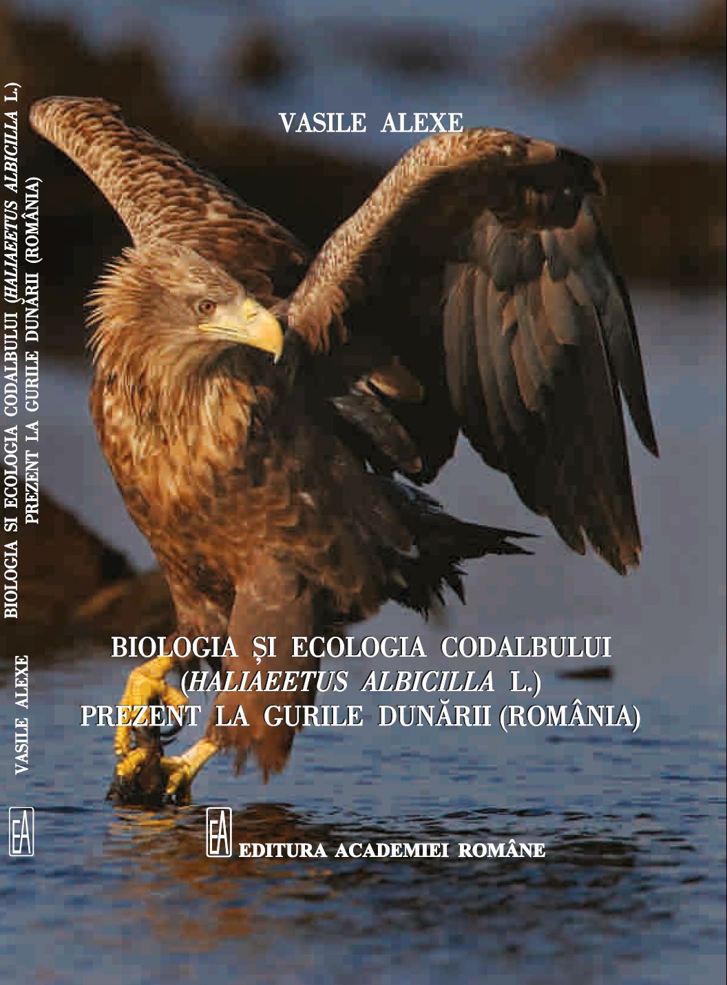 Cover of Biologia și ecologia codalbului (Haliaeetus Albicilla L.) prezent la gurile Dunării (România)